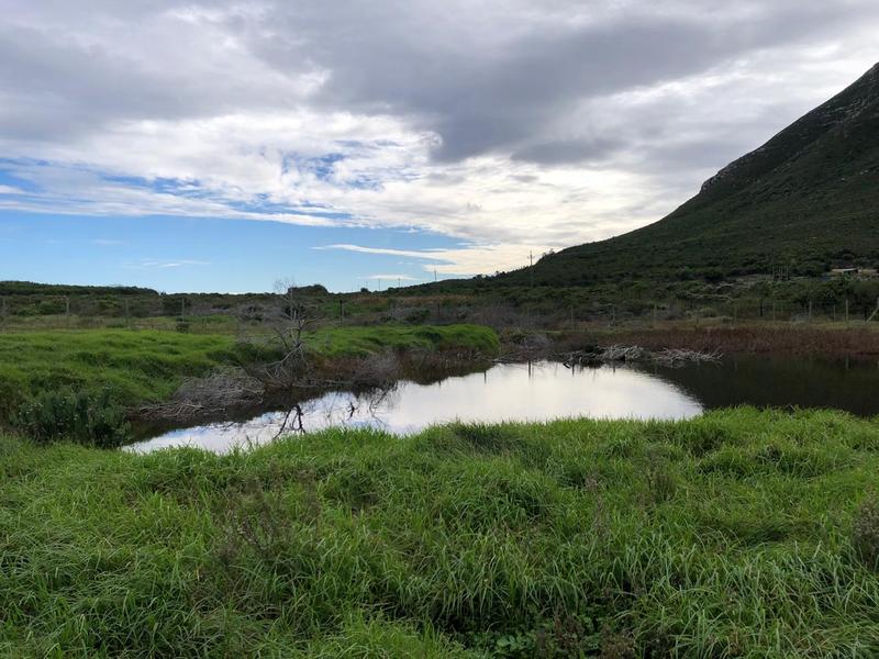 0 Bedroom Property for Sale in Franskraal Western Cape